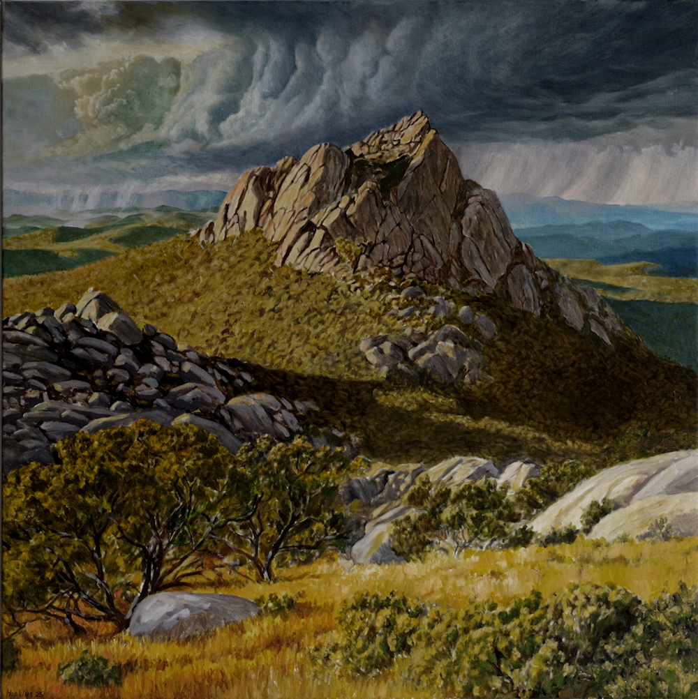 Afternoon Storm