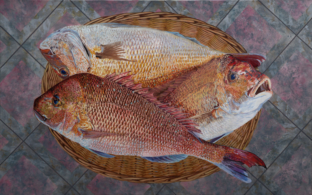 Pagrus Auratus